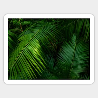 Palm Saturday Sticker